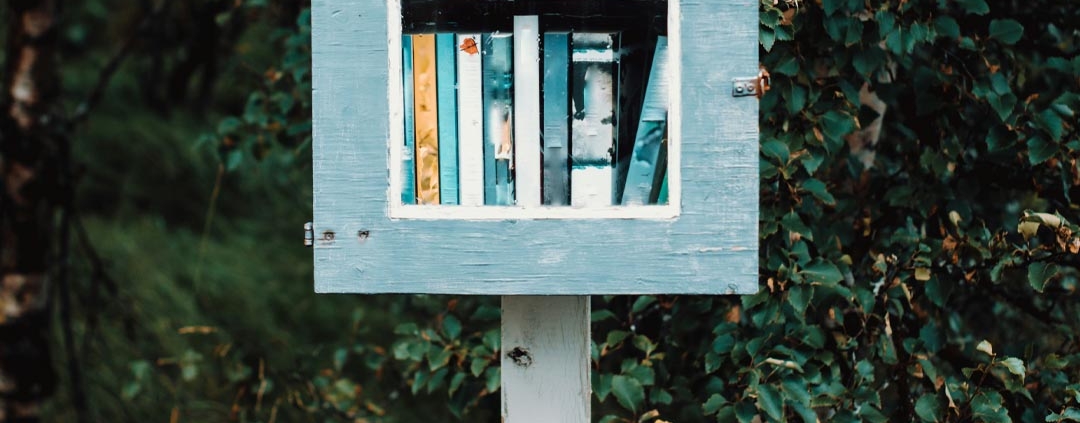 The Tiny Library Takeover Mini Book Boxes Maximum Charm