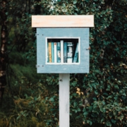 The Tiny Library Takeover Mini Book Boxes Maximum Charm