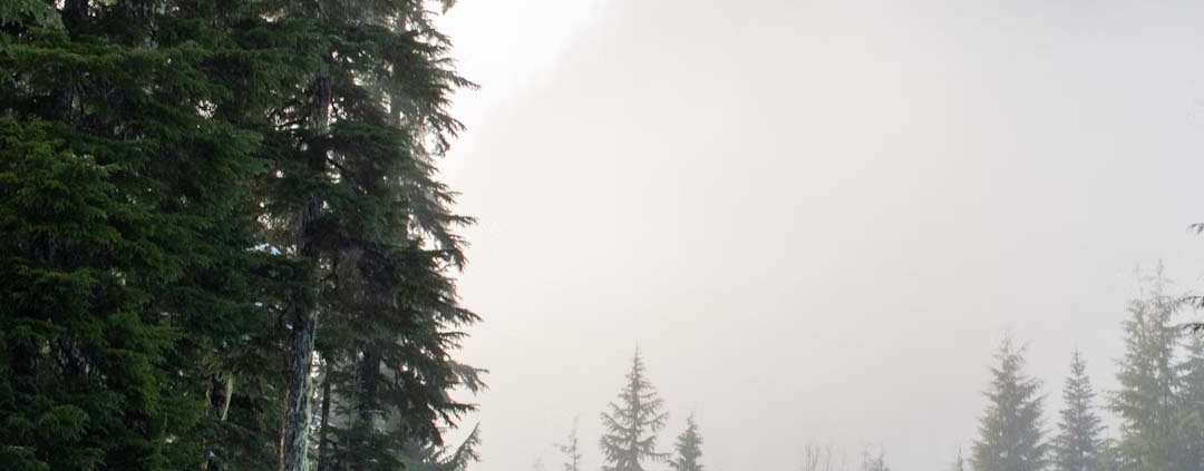 houses for sale comox winter preparedness
