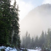 houses for sale comox winter preparedness