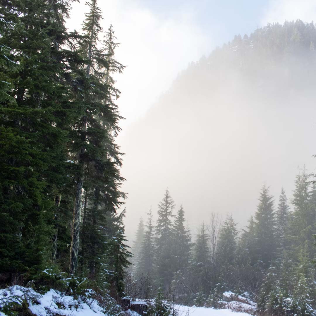 houses for sale comox winter preparedness