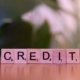 Credit Scores What Are They and What Affects Them