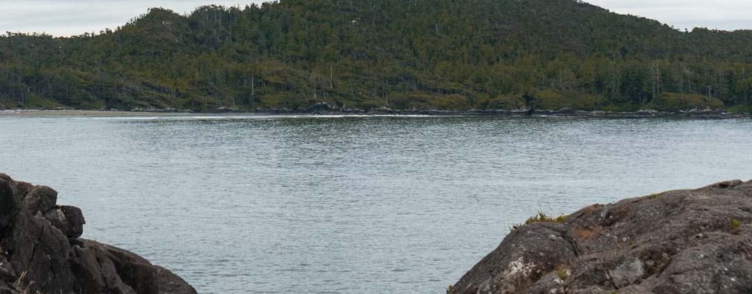 comox valley real estate update november 2025