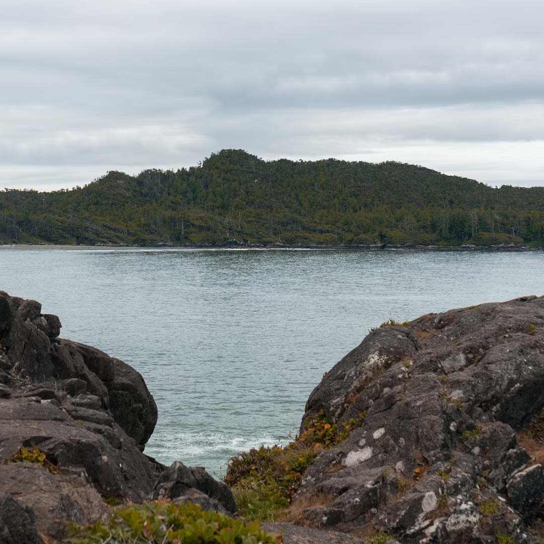 comox valley real estate update november 2025