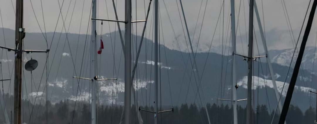 comox valley real estate outlook 2026