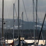 comox valley real estate outlook 2026