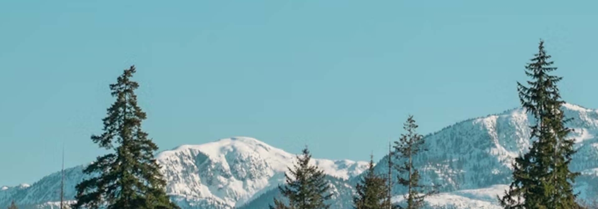 Why So Many Buyers Are Choosing the Comox Valley