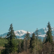 Why So Many Buyers Are Choosing the Comox Valley