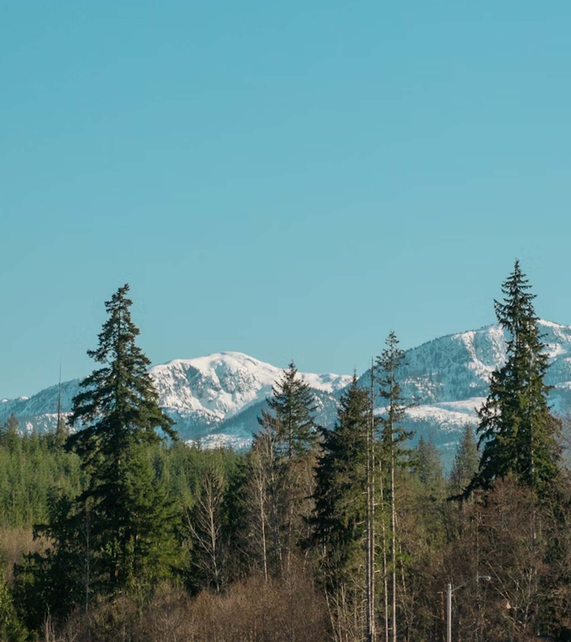 Why So Many Buyers Are Choosing the Comox Valley