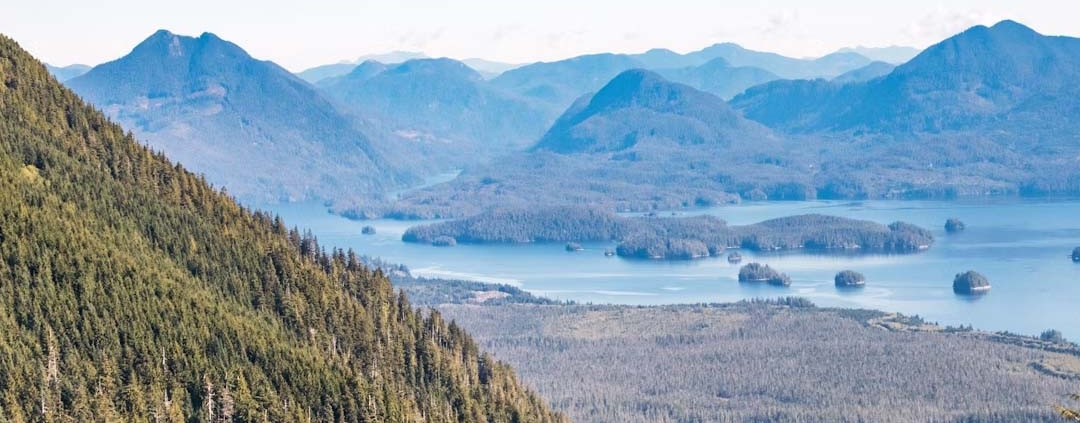 rural vancouver island property for sale