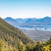 rural vancouver island property for sale