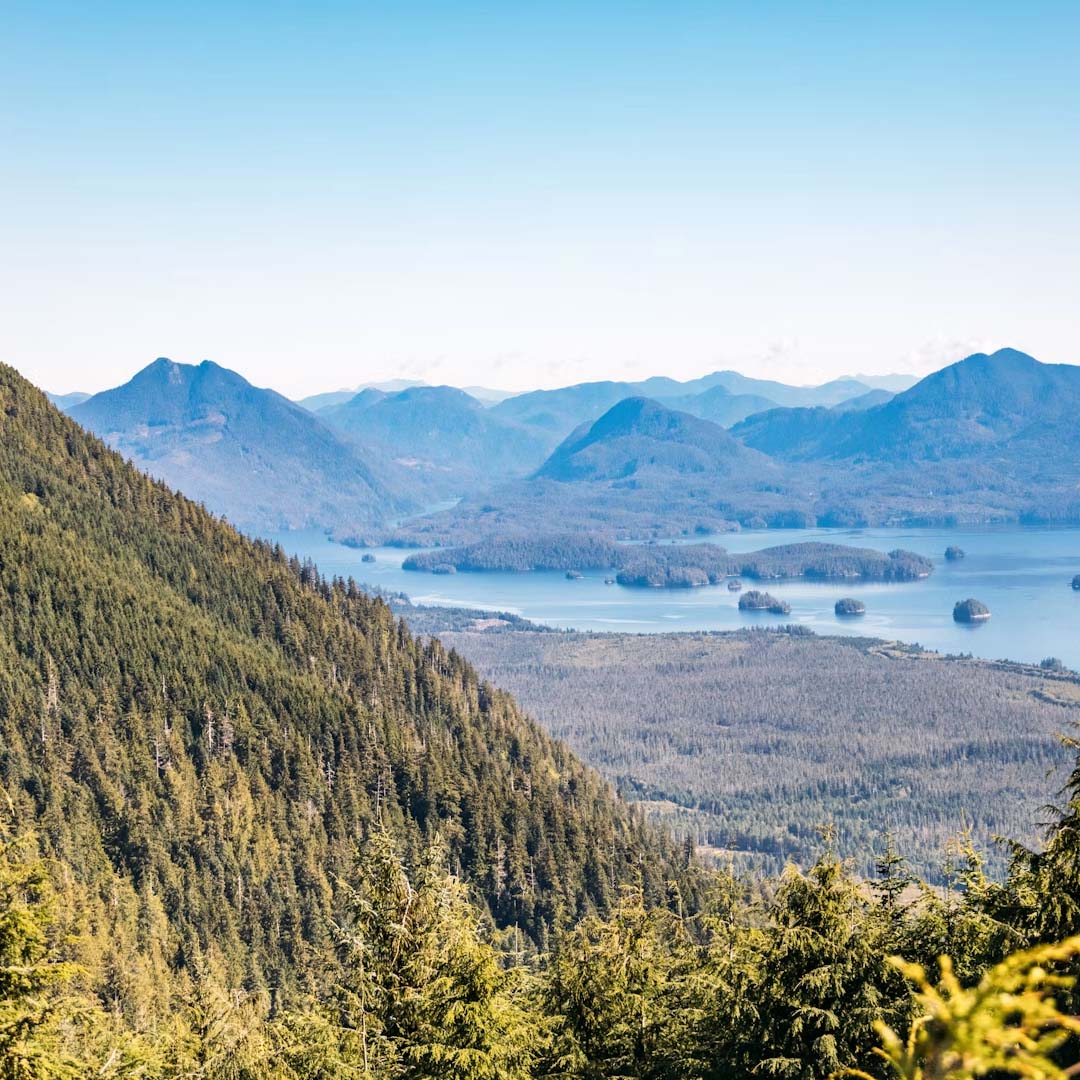 rural vancouver island property for sale